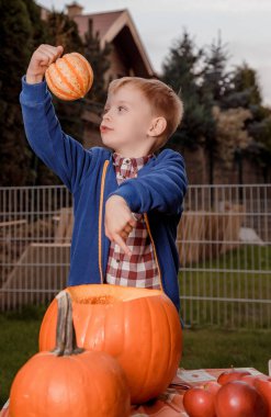 Balkabaklı çocuk. Küçük bir çocuk portakal kabağı keser. Cadılar Bayramı için hazırlanıyorum. Turuncu ve siyah renkler.