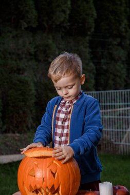 Çocuk Cadılar Bayramı için bir balkabağı kesti. Cadılar Bayramı için hazırlanıyorum. Küçük çocuk ve balkabağı. Cadılar Bayramı.
