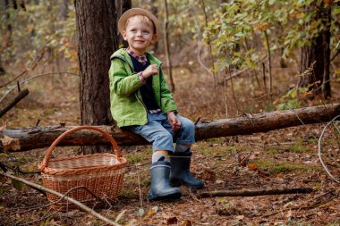 Sonbahar ormanında şapkalı küçük bir çocuk. Ormanda sepeti olan bir çocuk. Çocuk devrilmiş bir ağacın yanında.