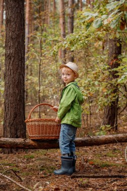 Sonbahar ormanında şapkalı küçük bir çocuk. Ormanda sepeti olan bir çocuk. Çocuk devrilmiş bir ağacın yanında.