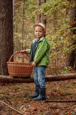 Sonbahar ormanında şapkalı küçük bir çocuk. Ormanda sepeti olan bir çocuk. Çocuk devrilmiş bir ağacın yanında.