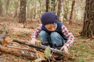 Bir çocuk ormanda yakacak odun topluyor. Küçük oduncu. Çocuk eski ağaç dallarını arıyor. Çocuk ve odun. Sonbahar zamanı.