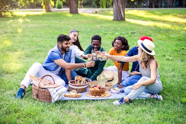 ⬇ Скачать Картинки Multi Ethnic Picnic, Стоковые Фото Multi.