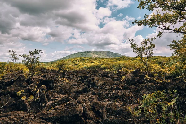 Yıllar önce Masaya yanardağının patlamasından kaynaklanan volkanik kaya manzarası.