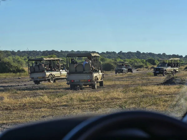 Chobe Botswana Мая 2018 Внедорожники Туристами Мая 2018 Года Чобе — стоковое фото