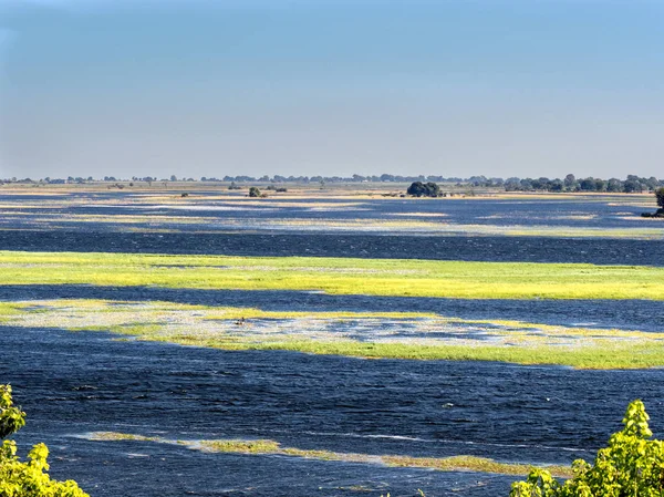 Двойная Река Чобе Национальный Парк Ботсвана — стоковое фото