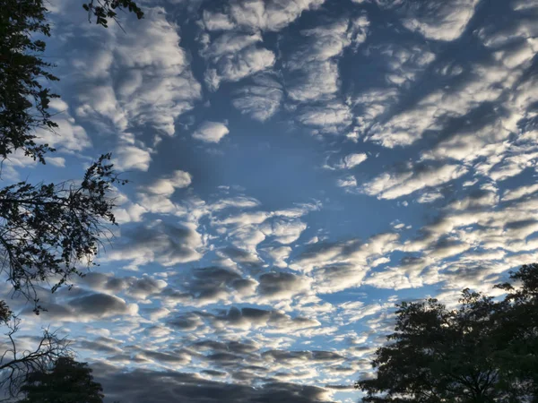 Fairy Morning Sky Northern Botswana — Stock Photo, Image