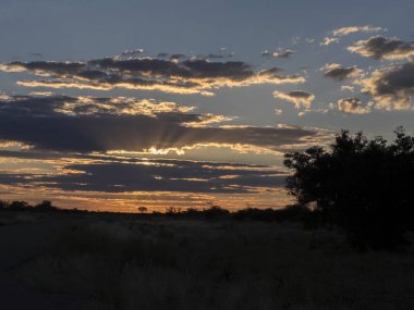 Günbatımı, Makgadikgadi Milli Parkı, Botsvana