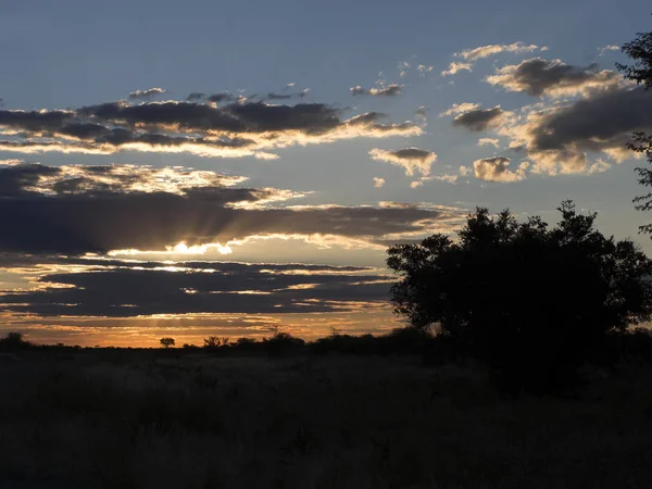 Pôr Sol Parque Nacional Makgadikgadi Botsuana — Fotografia de Stock