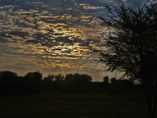 Sunset, Kalahari, South Africa