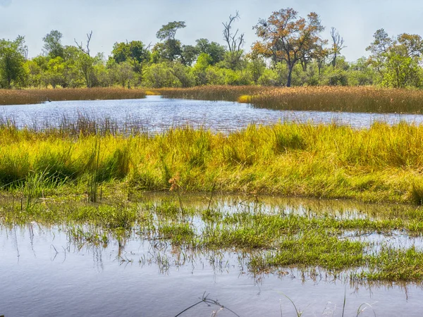 Modderige Landschap Moremi Nationaal Park Botswana — Stockfoto