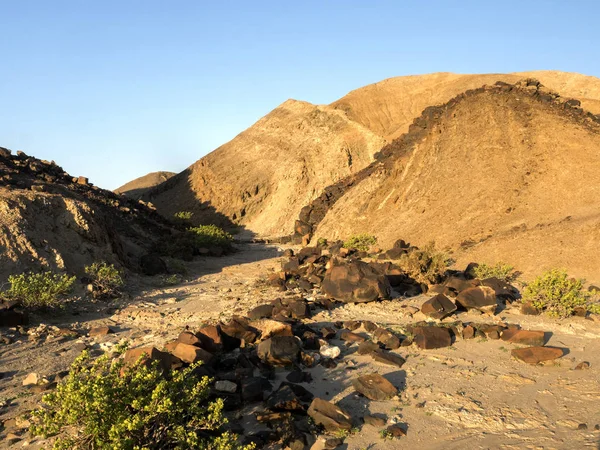 나미비아의 — 스톡 사진