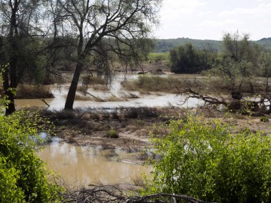 Peyzaj: Kunene Nehri Kuzey Namibya