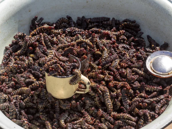 Insektslarver Marknadsplatsen Namibia — Stockfoto