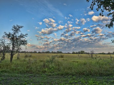 Kırsal Moremi Milli Parkı, Namibya