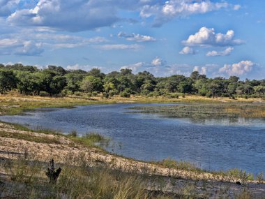 Göl at nalı, Bwabwata Park, Namibya