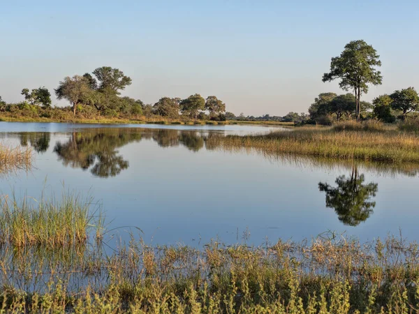 Landschap Rond Het Meer Reservaties Bwabwata Namibië — Stockfoto