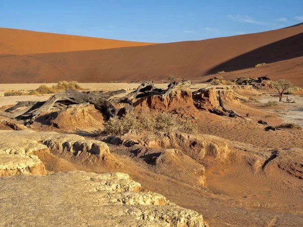 Kouzelná Krajina Deadvlei Namibie — Stock fotografie