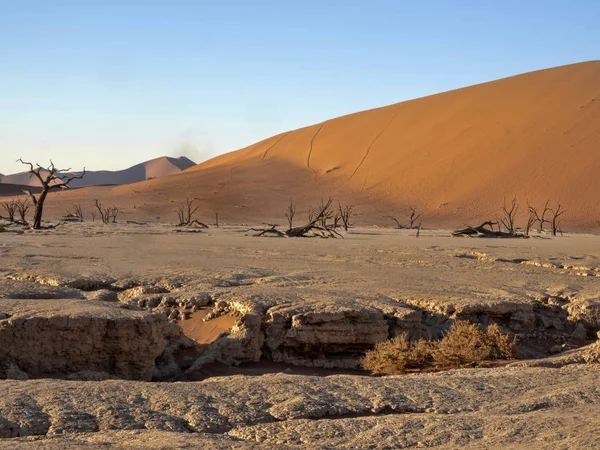 Paysage Magique Deadvlei Namibie — Photo