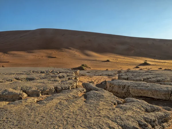 Deadvlei ナミビアの魔法の風景 — ストック写真