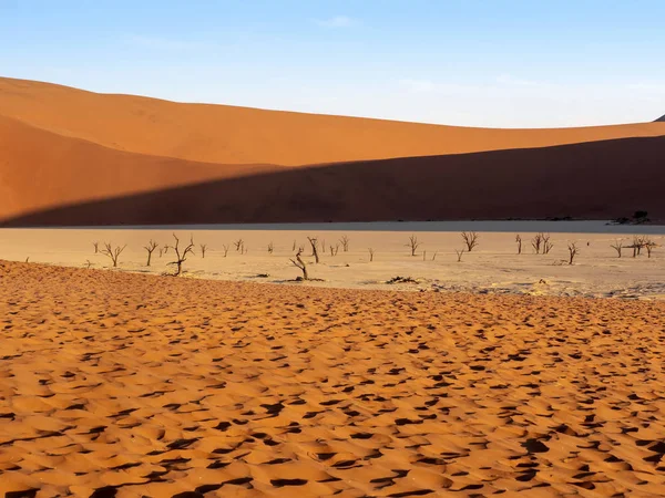 Magic Landscape Deadvlei Namibia — Stock Photo, Image