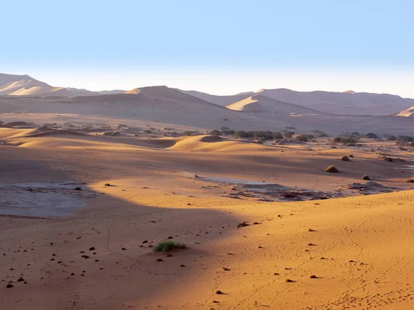 Duna Mágica Sossusvlei Namibia — Foto de Stock