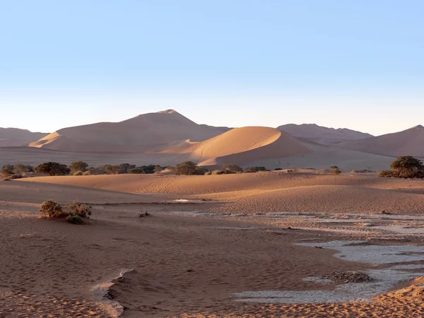 Kouzelná Krajina Deadvlei Namibie — Stock fotografie