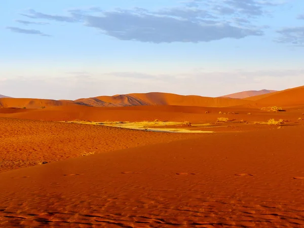 Magische Landschap Deadvlei Namibië — Stockfoto