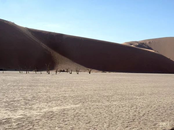 Magická Duna Sossusvlei Namibie — Stock fotografie