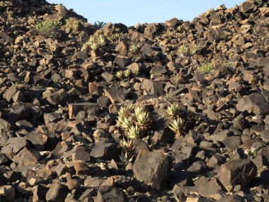 Çöl peyzaj Moon manzara Namibya görünümünü