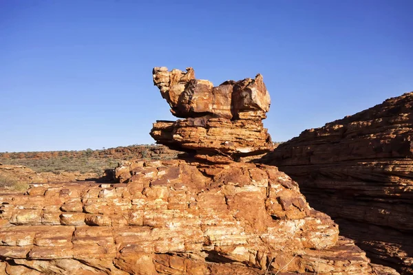 Spärliche Vegetation King Canyon Northern Territory Australien — Stockfoto