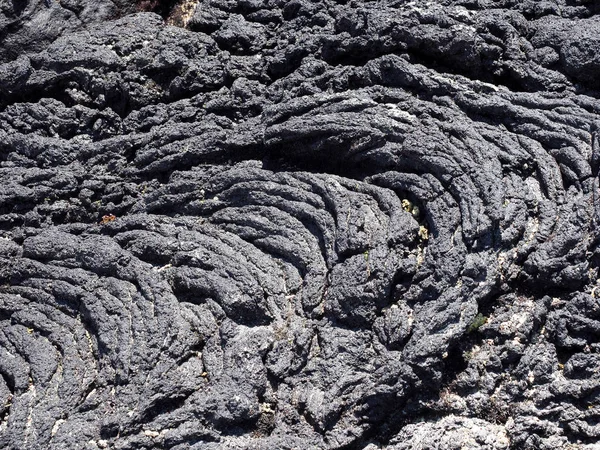 Cordes Lave Noire Sur Côte Isabela Île Isabela Galapagos Équateur — Photo