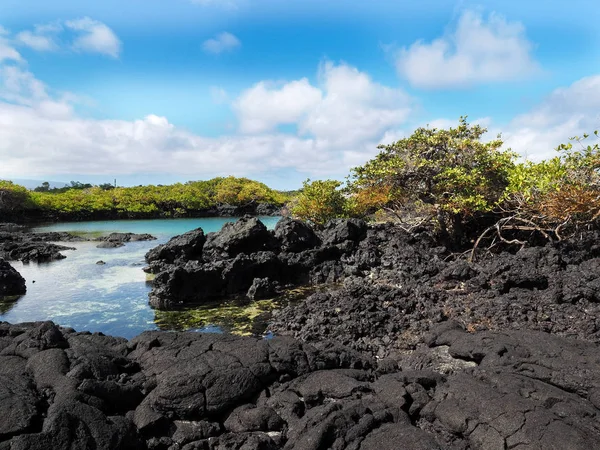 Île Méridionale Isabela Est Formée Par Lave Noire Avec Des — Photo