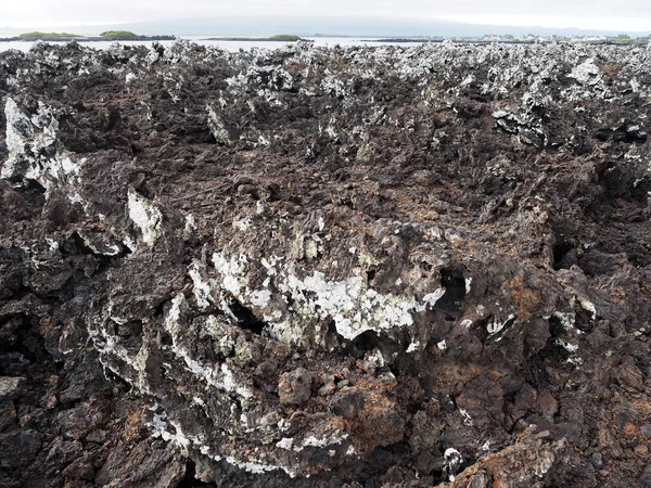 Sziget Islote Tintoreras Töltött Láva Állít Emléket Holdtalan Galapagos Ecuador — Stock Fotó