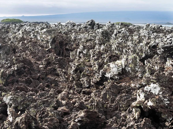 Фаршированная Лава Острове Islote Tintoreras Увековечивает Память Луны Галапагосских Островов — стоковое фото