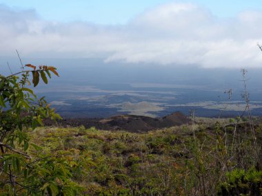 Sierra Negra volkan yüzeyine benzer ay manzara, Isabela Adası, Galapagos, Ecuador