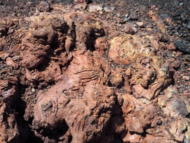 Chico, Isabela Adası, Galapagos, Ekvador kraterler biri