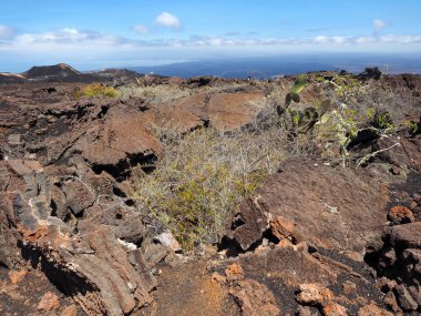 Sierra Negra volkan yüzeyine benzer ay manzara, Isabela Adası, Galapagos, Ecuador