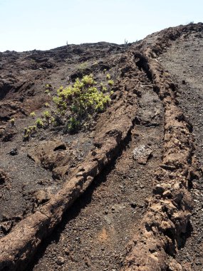 caldera lav akan Sierra Negra yanardağ, Isabela Adası, Galapagos, Ecuador