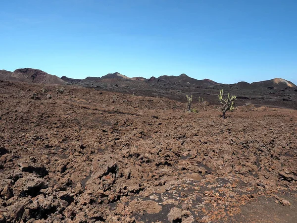 Uma Paisagem Desolada Torno Vulcão Sierra Negra Ilha Isabela Galápagos — Fotografia de Stock