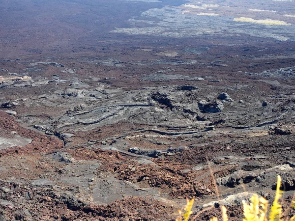 Chico, Isabela Adası, Galapagos, Ekvador kraterler biri