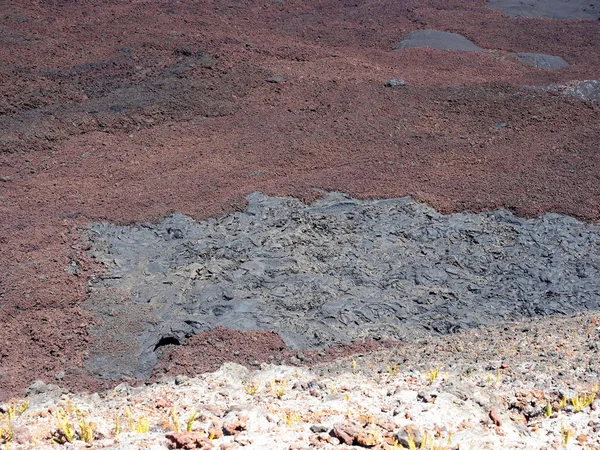 Een Van Kraters Van Chico Isabela Island Galapagos Ecuador — Stockfoto
