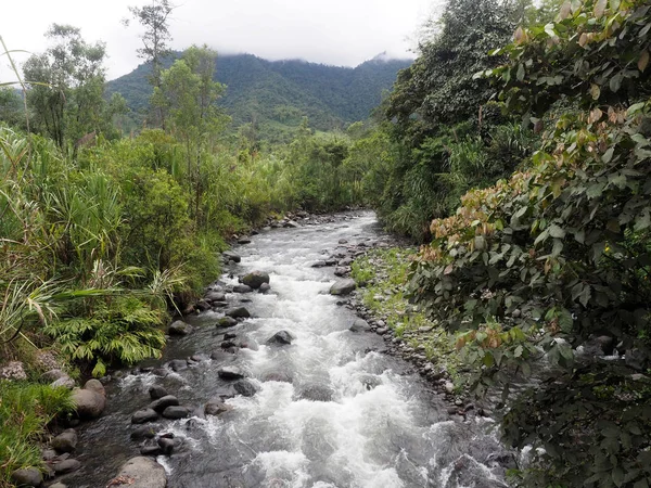 Río Tropical Mindo Ecuador — Foto de Stock