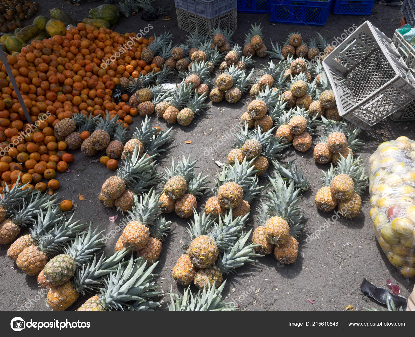 Rich Offer Fruits Vegetables Quito Marketplace Ecuador ⬇ Stock Photo