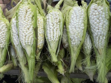 Zengin balık, Quito pazar alanı, Ekvador teklif