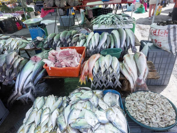 Rikt Utbud Fisk Quito Marketplace Ecuador — Stockfoto
