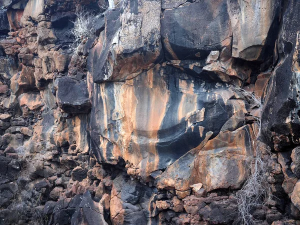 Rocas Sombrías Costa Isla Seymour Norte Galápagos Ecuador — Foto de Stock