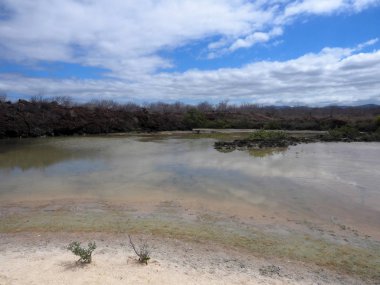 pitoresk küçük adanın kuzey, Galapagos, Ekvador sahillerinin