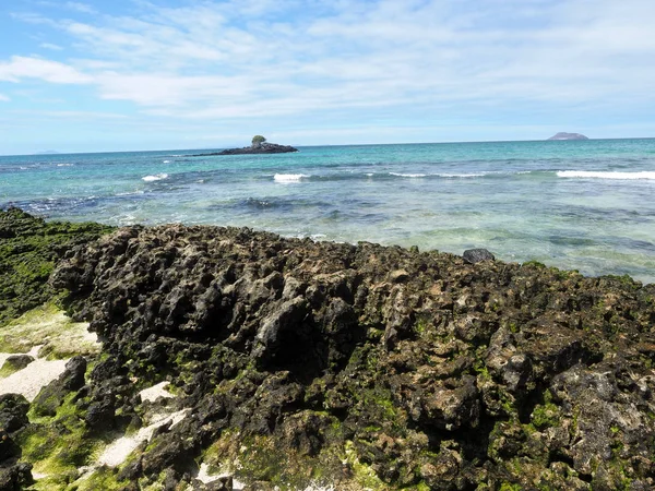 Pittoreska Kusten Den Lilla Norr Galapagos Ecuador — Stockfoto