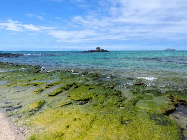 Costa Pitoresca Pequena Ilha Norte Galápagos Equador — Fotografia de Stock